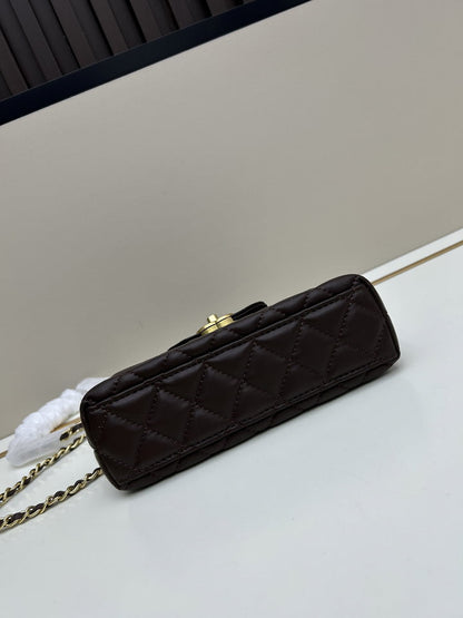 Chocolate Leather Mini Bag